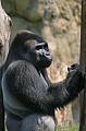 Zoo Schmiding 042